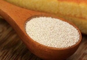 yeast