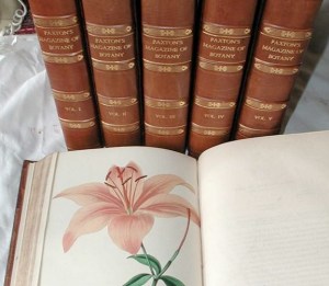 Paxton's Botanical Magazine
