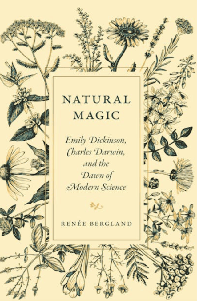 Natural magic and modern science